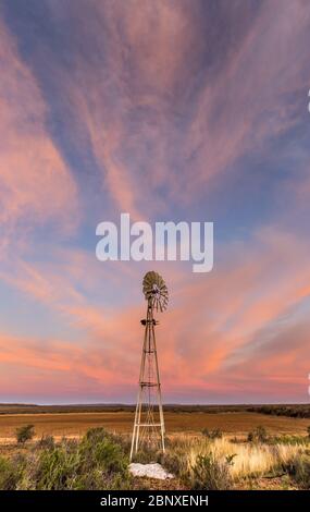 Windmühle in karoo unter rosa bewölktem Himmel Landschaft Stockfoto