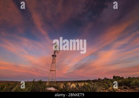 Windmühle in karoo unter rosa bewölktem Himmel Landschaft Stockfoto