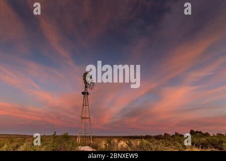 Windmühle in karoo unter rosa bewölktem Himmel Landschaft Stockfoto