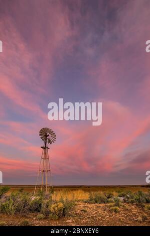 Windmühle in karoo unter rosa bewölktem Himmel Landschaft Stockfoto