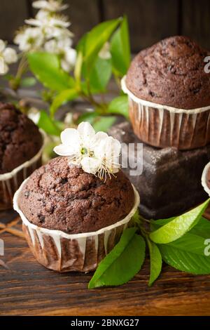 Hausgemachte köstliche Schokolade Muffins auf dunklem Holz Hintergrund mit Kirschblüten, vertikales Bild Stockfoto