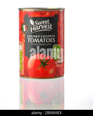 Sweet Harvest Chunky gehackte Tomaten Dose isoliert auf einem weißen Hintergrund mit einer Reflexion. Stockfoto