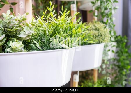 Schöne künstliche Pflanzen Dekoration im Haus oder Café. Nahaufnahme Stockfoto