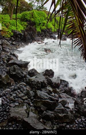 Eine tropische versteckte Bucht in Maui Hawaii USA Stockfoto