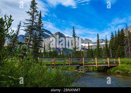 2589 malerische Szene entlang des Grinnell Glacier Trail im Glacier National Park, Montana, während eine Fußgängerbrücke einen Bach überquert Stockfoto