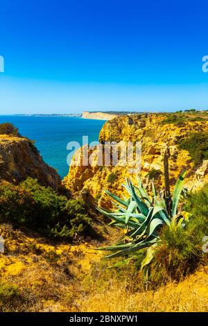 Schöne sandige ciffs entlang der Algarve Küste neer Lagos Stadt, Portugal Stockfoto