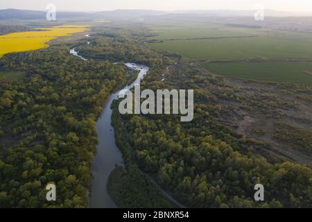 Flug durch den majestätischen Fluss Dnister, üppig grünen Wald und blühende gelbe Rapsfelder bei Sonnenuntergang. Ukraine, Europa. Landschaftsfotografie Stockfoto