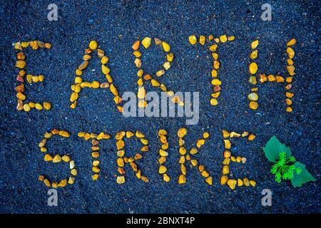 Earth Strike, eleganter Text mit orangefarbenen, gelben Steinen, auf schwarzem und blauem Asphalt mit grünen Blättern und Blüten. Symbol für den Schutz unseres Planeten, Stockfoto