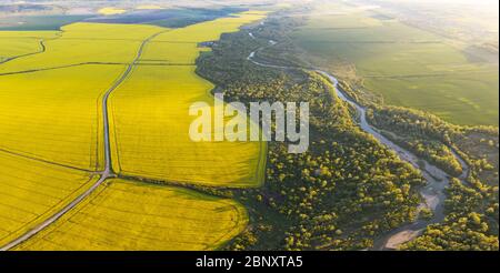 Flug durch majestätischen Fluss, üppig grünen Wald und blühende gelbe Rapsfelder bei Sonnenuntergang. Landschaftsfotografie Stockfoto