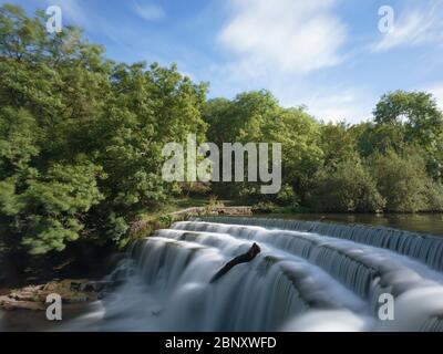 Wasserfall auf dem Fluss Wye im Monsal Dale, Peak District National Park, Little Longstone, Bakewell, Großbritannien Stockfoto