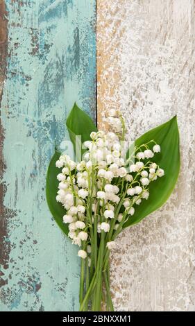 Maiglöckchen Blumen auf Holzhintergrund Stockfoto