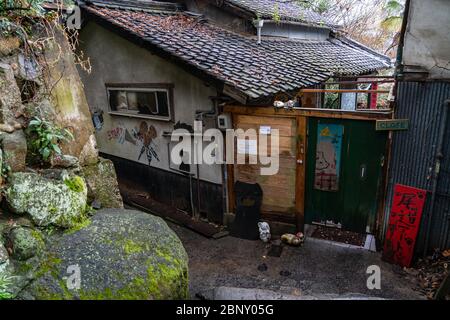 Neko-no-Hosomichi Cat Alley in Onomichi City. Viele echte und ornamentale Katzen (fukuishi-neko), malerische Cafés und Galerien auf dieser engen Straße. Hiro Stockfoto