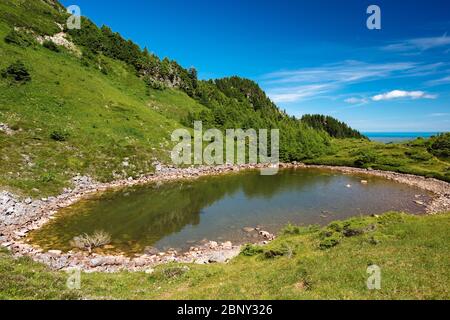 Ein Blick vom Sleeping Beauty Trail auf Graham Island, Haida Gwaii, British Columbia, Kanada. Stockfoto