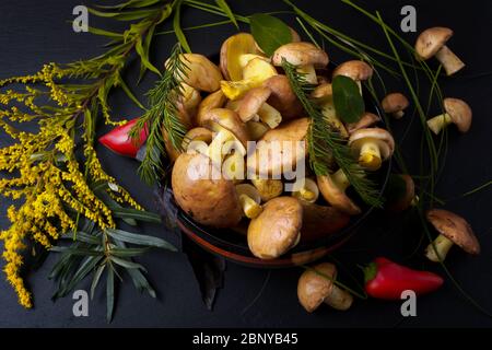 Rustikale Schüssel mit Wald pflücken rutschige Jack Pilze und Wildgras auf dem schwarzen Hintergrund, Nahaufnahme. Vegetarisches gesundes Essen Konzept Stockfoto