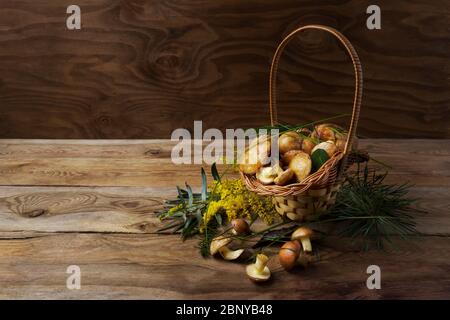 Weidenkorb mit wilden Wald pflücken rutschige Jack Pilze und grünes Gras auf dem rustikalen Holzhintergrund. Vegetarisches gesundes Essen Konzept Stockfoto