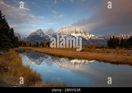 WY04361-00...WYOMING - am frühen Morgen entlang des Snake River, der die Teton Range von Schwabacher Landing im Grand Teton National Pa widerspiegelt Stockfoto