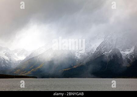 WYOMING - Blick auf die schneebedeckte Teton Range vom Coulter Bay Lakeshore Trail auf Jackson Lake bei einer kurzen Schneedusche im Grand Teton Natl Park Stockfoto