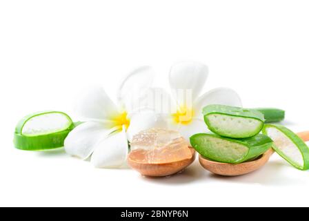 Frische Scheibe Aloe Vera auf Holzlöffel auf weißem Hintergrund isoliert, nützliche pflanzliche Medizin für die Haut- und Haarpflege und Schönheitsprodukte. Stockfoto