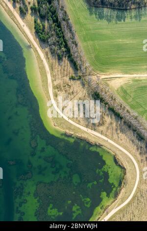 Luftaufnahme des Fahrradwegs zwischen grünen Feldern und See. Öffentlicher Park im Frühjahr Stockfoto