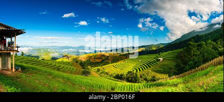 Schöne Reisterrasse vor der Kulisse der malerischen Berge im Nebel. Beliebte berühmte Attraktion und Reiseziel in Asien. Stockfoto