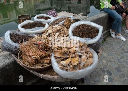 Straßenhändler verkaufen Pilze und Bündel von Bambussprossen an der Seite einer Kopfsteinpflasterstraße im Dorf Hongcun, China. Stockfoto