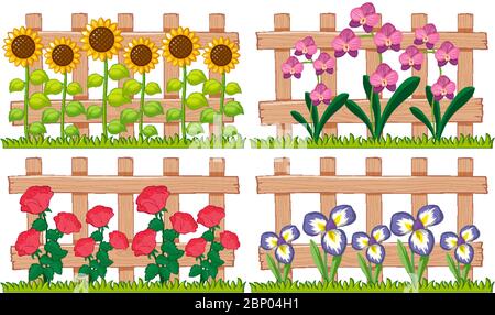 Verschiedene Arten von Blumen in der Gartenillustration Stock Vektor