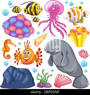 Set von Meereslebewesen und Korallen auf weißem Hintergrund Illustration Stock Vektor