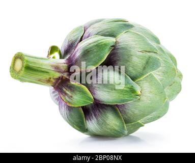 Artischockenblume essbare Knospe isoliert auf weißem Grund. Stockfoto