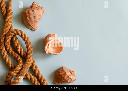 Hintergrund zum Thema Meer, Spa, Reise oder Strandurlaub. Hanfseil und drei Muscheln. Ruhige Farben. Platz für Text. Blick von oben. Stockfoto