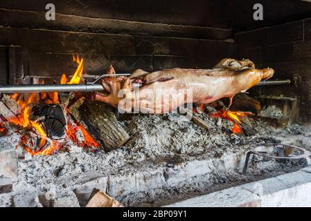 Das saugende Schwein wird auf einem Spieß über offenem Feuer auf den Holzofen geröstet. Stockfoto