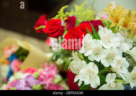 Valentinstag Hintergrund, Hochzeitstag. Blühende rote Rosen blühen über geschmundem Hexagon Bokeh Hintergrund. Stockfoto