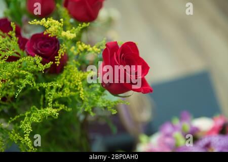 Valentinstag Hintergrund, Hochzeitstag. Blühende rote Rosen blühen über geschmundem Hexagon Bokeh Hintergrund. Stockfoto