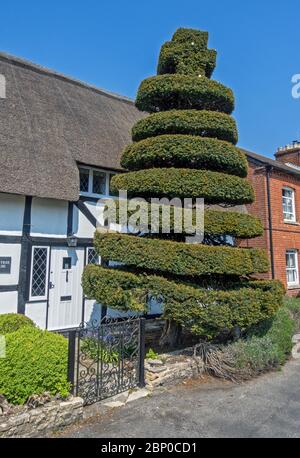 Das Crown Inn Country Pub im schönen ländlichen Dorf Kings Somborne in der Nähe von Stockbridge in Hampshire, England, Großbritannien Stockfoto