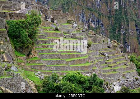 Die Ruinen der Inka-Strukturen in der Zitadelle Machu Picchu, einem unglaublichen UNESCO-Weltkulturerbe in der Region Cuzco in Peru Stockfoto