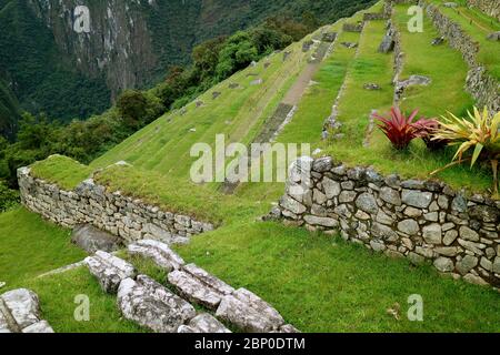 Reste der Inka Landwirtschaftliche Terrassen am Berghang der Zitadelle Machu Picchu, Heiliger Tal der Inka in Cuzco, Urubamba, Peru Stockfoto