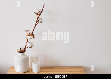 Ein Zweig einer Baumwolle in Vase an minimalistischem Interieur. Stockfoto