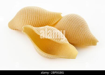 Italienische rohe trockene Pasta conchiglioni isoliert auf weißem Hintergrund. Pasta zum Backen Stockfoto