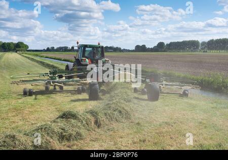 Traktor im Feld mit Grasgezettter während der Heuernte in den niederlanden unter blauem Himmel Stockfoto