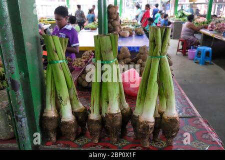 Taro Wurzeln auf dem Sigatoka Markt, Coral Coast, Viti Levu, Fidschi, Südpazifik. Stockfoto