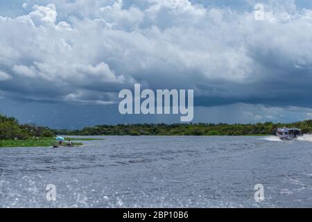 Schnellboote auf dem Amazonas-Fluss in der Nähe von Manaus, die Touristen zu verschiedenen Sehenswürdigkeiten, den Amazonas, Brasilien, Lateinamerika Stockfoto