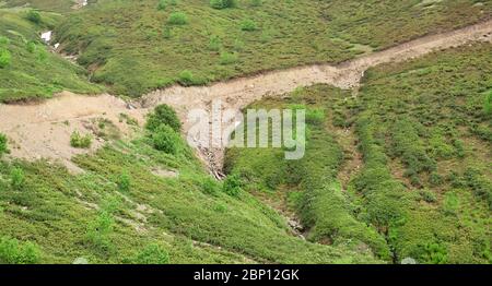 Wildes Gras und Felsen auf Hochwiese am Berg. Der felsige Weg geht den Hang hinunter und geht hinunter. Stockfoto