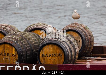 PORTO, PORTUGAL - 27. FEBRUAR 2017: Rebellos, die typischen Boote, die Weinfässer auf dem Duoro Fluss nach Porto, in Portugal, transportieren Stockfoto