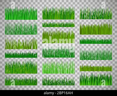 Vektor grünes Gras. Gras Grenze horizontal auf transparentem Hintergrund isoliert gesetzt Stock Vektor