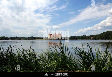 Watercastle Moirtzburg bei Dresden Stockfoto