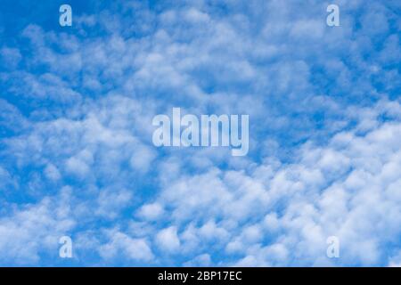 Viele kleine weiße Wolken am blauen Himmel bei sonnigen Tag, Finnland Stockfoto