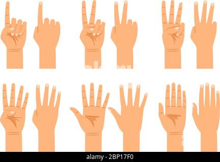 Handzählung isoliert auf weißem Hintergrund. Flache Hände zählen Zeichen, Menschen Finger Zahlen Countdown Vektor-Illustration Stock Vektor