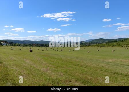 Heuballen auf dem Harmashatarhegy Airfield in Budapest Stockfoto