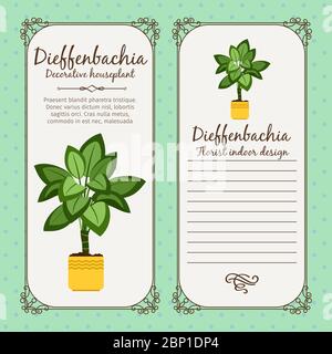 Vintage Etikettenvorlage mit dekorativer Dieffenbachia Pflanze im Topf, Vektorgrafik Stock Vektor