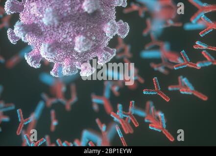 Immunologisches System, Antikörper, die das Virus Covid-19 angreifen. 3D-Darstellung, Konzept des Abwehrsystems des Körpers. Y-förmiger Antikörper, der den angreift Stockfoto