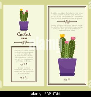 Grußkarte mit Kaktus dekorative Pflanze, quadratischen Rahmen. Vektorgrafik Stock Vektor